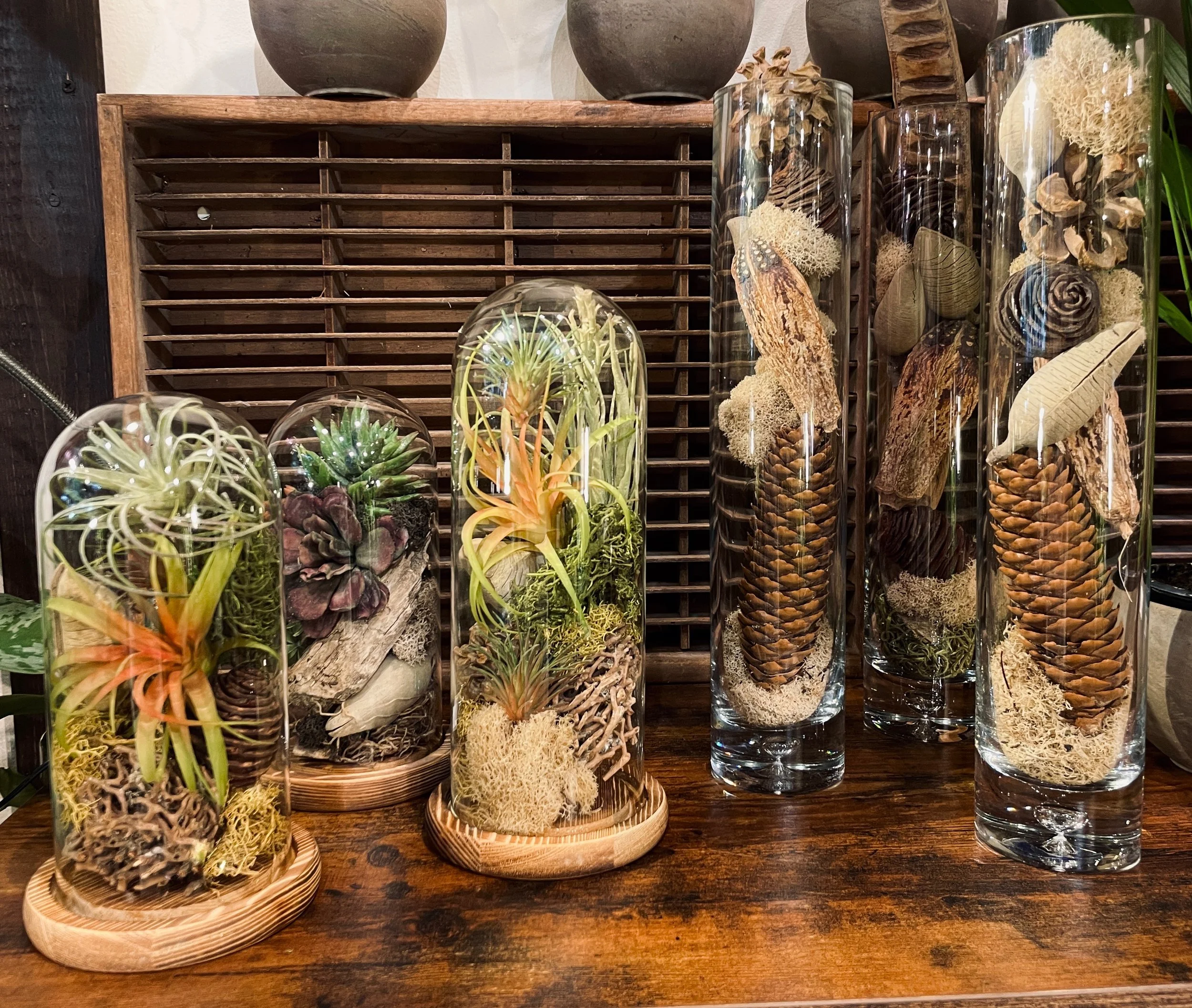 Utsuwa Botanical Design
